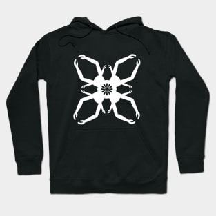 Ancient Egyptian Arms Symbol Hoodie